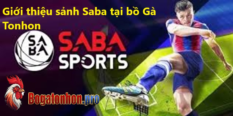 Giới Thiệu thể thao Saba bồ Tonhon