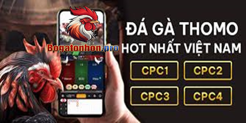 Bồ gà Tonhon