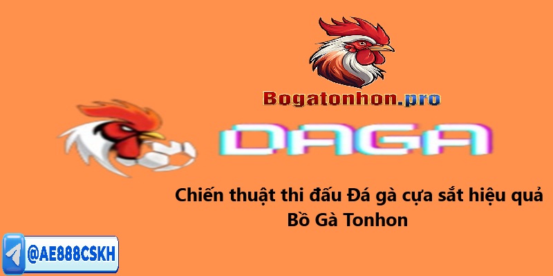 Chiến thuật cách thức chơi đá gà cựa sắt Chiến thuật cách thức chơi đá gà cựa sắt