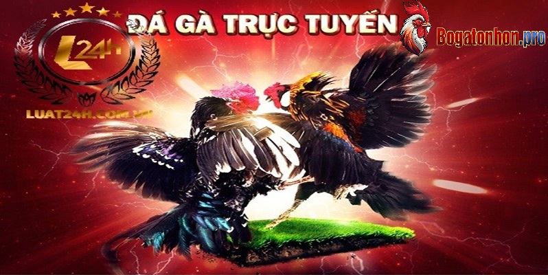 Chọn Bồ gà trực tuyến Chọn Bồ gà trực tuyến