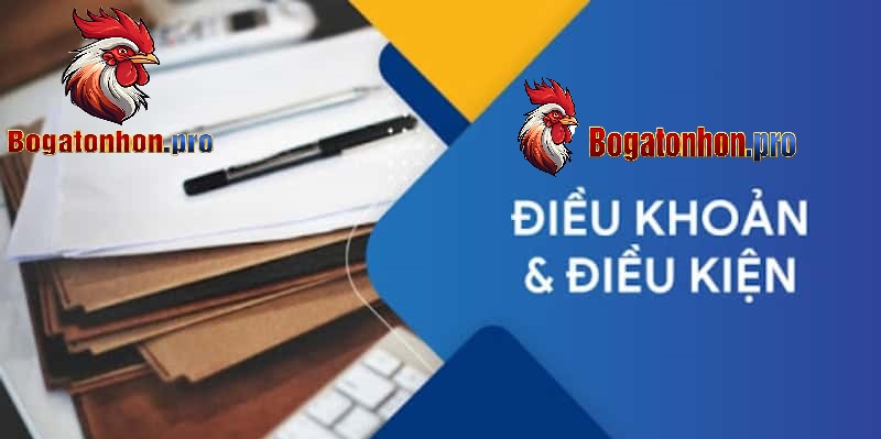 Điều khoản điều kiện giữ an toàn cho hội viên Tonhon
