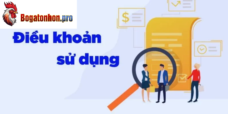 Điều khoản sử dụng bồ gà Tonhon