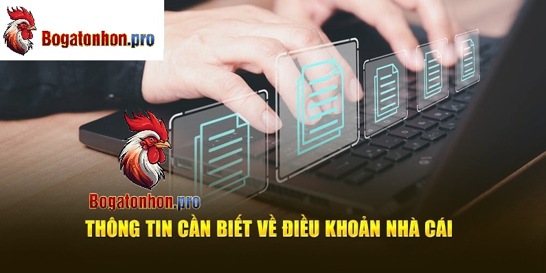Thông tin cần biết về điều khoản Tonhon