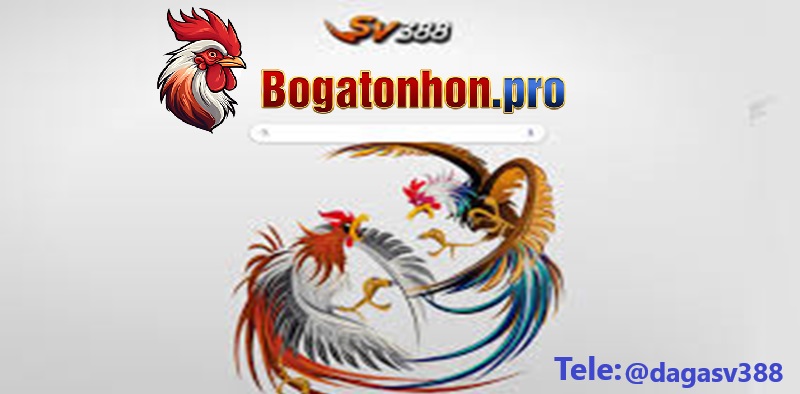 Đá gà Sv388 - Đá gà Tonhon