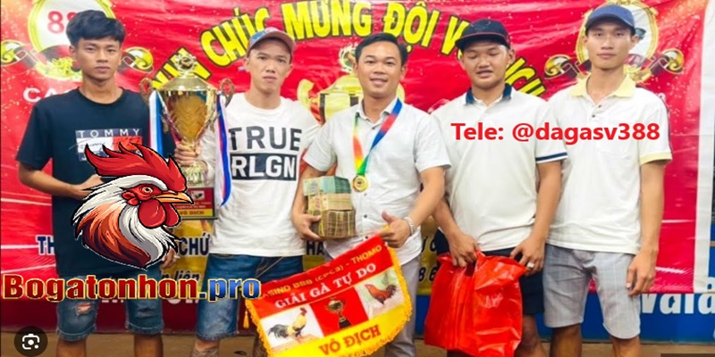 Giải thưởng lớn khi tham gia đá gà Sv388