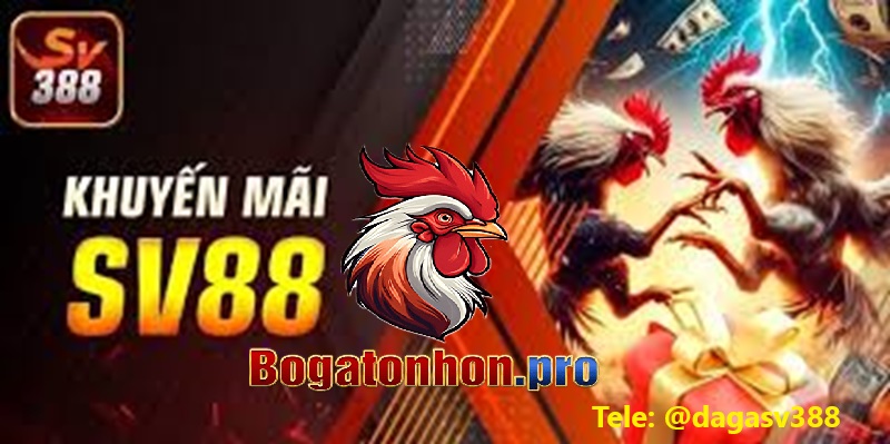 Khuyến mại ưu đãi đá gà Sv388