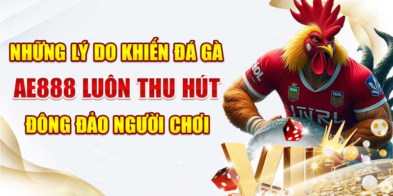 Những lý do khiến Đá gà Ae888 luôn thu hút đông đảo người chơi Những lý do khiến Đá gà Ae888 luôn thu hút đông đảo người chơi